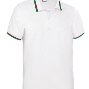 polo tecnico MAASTRICHT